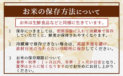 「令和6年産 新米 先行受付」 那賀町相生産 きぬむすめ 白米 10kg 1袋 「2024年10月上旬より発送」 【徳島 那賀 国産 徳島県産 お米 こめ おこめ 米 ご飯 ごはん 白ご飯 白米 10キロ 和食 おにぎり お弁当 白米 精米 おいしい 食べて応援 お取り寄せ 産地直送】YS-35