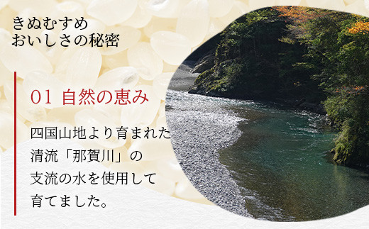 「令和6年産 新米 先行受付」 那賀町相生産 きぬむすめ 白米 10kg 1袋 「2024年10月上旬より発送」 【徳島 那賀 国産 徳島県産 お米 こめ おこめ 米 ご飯 ごはん 白ご飯 白米 10キロ 和食 おにぎり お弁当 白米 精米 おいしい 食べて応援 お取り寄せ 産地直送】YS-35