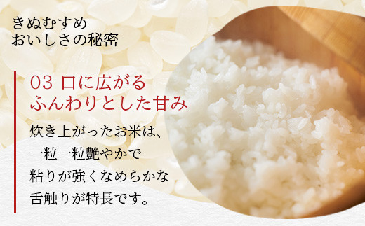 「令和6年産 新米 先行受付」 那賀町相生産 きぬむすめ 白米 10kg 1袋 「2024年10月上旬より発送」 【徳島 那賀 国産 徳島県産 お米 こめ おこめ 米 ご飯 ごはん 白ご飯 白米 10キロ 和食 おにぎり お弁当 白米 精米 おいしい 食べて応援 お取り寄せ 産地直送】YS-35