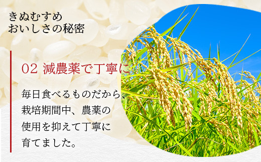 「令和6年産 新米 先行受付」 那賀町相生産 きぬむすめ 白米 10kg 1袋 「2024年10月上旬より発送」 【徳島 那賀 国産 徳島県産 お米 こめ おこめ 米 ご飯 ごはん 白ご飯 白米 10キロ 和食 おにぎり お弁当 白米 精米 おいしい 食べて応援 お取り寄せ 産地直送】YS-35