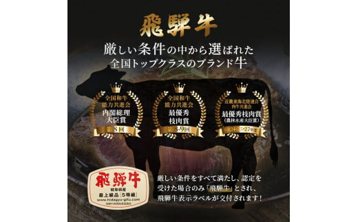 飛騨牛 焼肉 肩肉 (ウデ)  500g×2 計1kg A5 和牛 牛肉 ブランド牛 BBQ バーベキュー 贈り物 贈答 ギフト キャンプ アウトドア  炭火  保存に便利