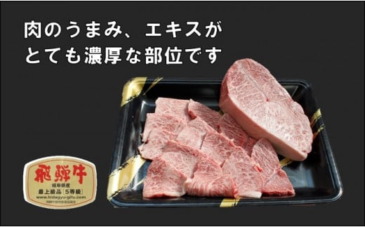 飛騨牛 焼肉 肩肉 (ウデ)  500g×2 計1kg A5 和牛 牛肉 ブランド牛 BBQ バーベキュー 贈り物 贈答 ギフト キャンプ アウトドア  炭火  保存に便利