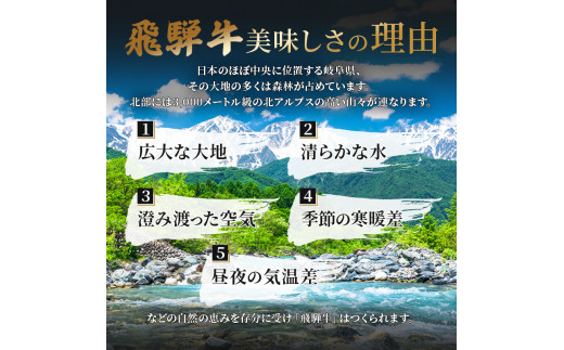 飛騨牛 焼肉 肩肉 (ウデ)  500g×2 計1kg A5 和牛 牛肉 ブランド牛 BBQ バーベキュー 贈り物 贈答 ギフト キャンプ アウトドア  炭火  保存に便利