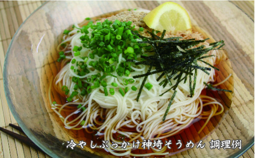 佐賀県特産品 神埼そうめん 17入 つゆ付 【素麺 そうめん 乾麺 お中元 贈答用 無添加 夏 自家用 麺類 簡単 手軽 保存食 佐賀県産 国産】(H014132)