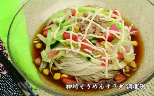 佐賀県特産品 神埼そうめん 17入 つゆ付 【素麺 そうめん 乾麺 お中元 贈答用 無添加 夏 自家用 麺類 簡単 手軽 保存食 佐賀県産 国産】(H014132)