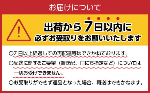 《6ヵ月定期便》富士山蒼天の水 2L×6本（1ケース）ラベルレス　