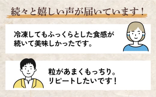 ＜2025年1月上旬発送＞【令和6年産】さがびより 10kg（5kg×2袋） 吉野ヶ里町/増田米穀 [FBM018] 