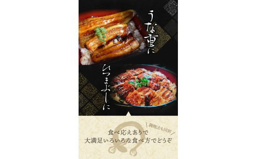 【大型サイズ】ふっくら柔らか 国産うなぎ蒲焼き 2尾/うなぎ ウナギ 鰻 うなぎ蒲焼 国産【uot302-3】