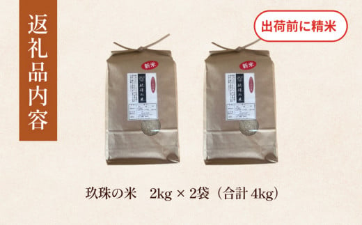 【即納】令和6年産 新米 ひとめぼれ 4kg （2kg×2袋） 大分県 玖珠町産 ｜ 即納 9月から発送 米