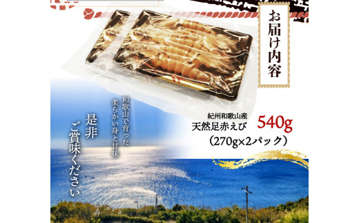 紀州和歌山産天然足赤えび540g（270g×2パック）化粧箱入 ※2024年11月上旬頃〜2025年2月上旬頃順次発送予定（お届け日指定不可）／海老 エビ えび クマエビ 足赤 天然 おかず【uot772A】