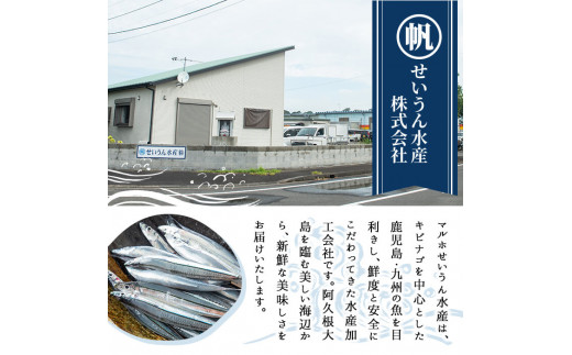 鹿児島県産！あくねキビナゴづくしBセット(3種)一夜干し、刺身、漁師漬けをセットに冷凍でお届け！魚介類 海鮮 海の幸 きびなご キビナゴ 刺し身 さしみ 一夜干し 漁師漬け【マルホせいうん水産】a-14-8-z