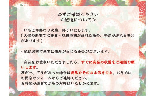 [12月中旬より順次発送予定・いちご研究所が17年費やした] スカイベリー600g｜いちご イチゴ 苺 フルーツ 果物 産地直送 栃木県産 矢板市産 先行予約 [0420]