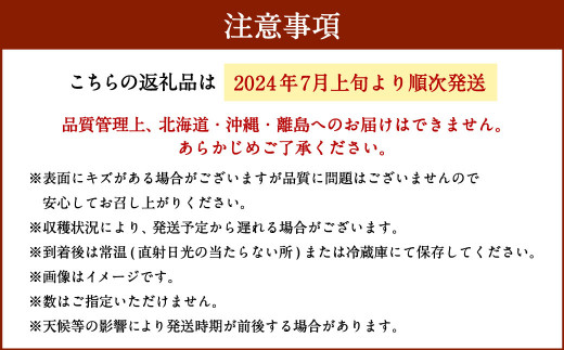 福岡県産 パッションフルーツ 約2kg（M～3L・20～30個）