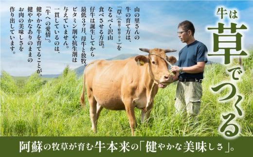 【NHKあさイチで紹介されました！】生産者直送!GI認証　くまもとあか牛すき焼き用(500g)・焼き肉用(500g)食べ比べセット