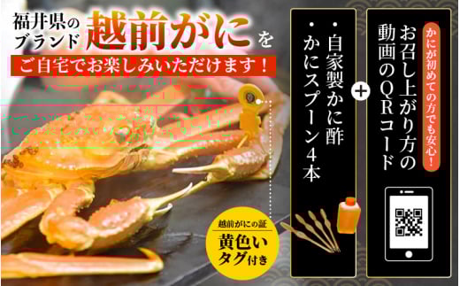 ≪浜茹で≫ 越前がに 特大 × 2杯（生で計1.8kg以上） 越前がに漁師厳選！かに酢 かにスプーン4本 食べ方QRコード付き【雄 ズワイガニ ずわいがに 姿 ボイル 冷蔵 福井県】【12月発送分】希望日指定可 備考欄に希望日をご記入ください [e38-x002_12]