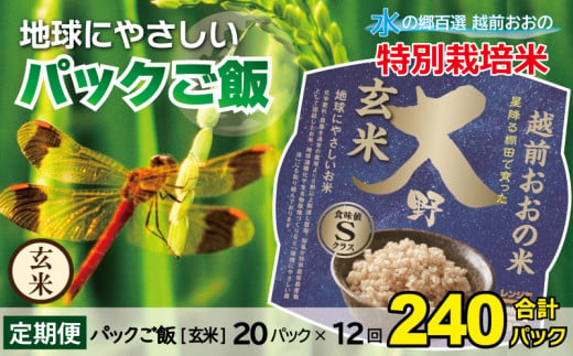 【先行予約】【12ヶ月定期便】地球にやさしいパックご飯 20食入り【玄米】× 12回　計240食　減農薬・減化学肥料 「特別栽培米」