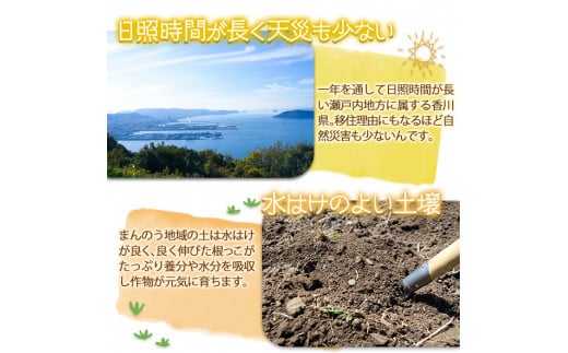 ＜期間限定！2024年10月下旬以降順次発送予定＞＜訳あり・家庭用＞香川県産 富有柿(約7kg) 【man087】【Aglio nero】