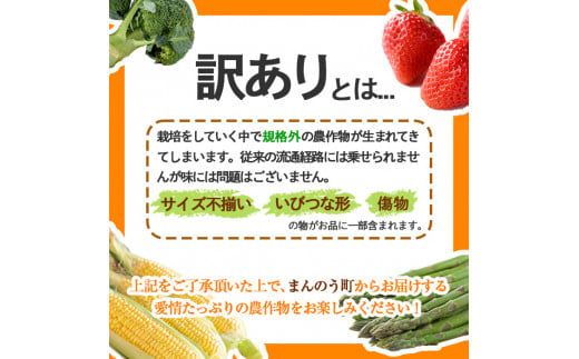 ＜期間限定！2024年10月下旬以降順次発送予定＞＜訳あり・家庭用＞香川県産 富有柿(約7kg) 【man087】【Aglio nero】