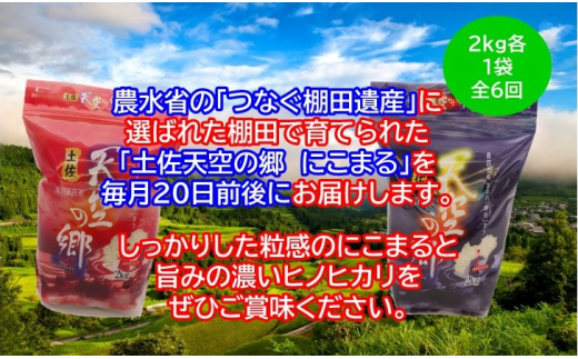 農林水産省の「つなぐ棚田遺産」に選ばれた棚田で育てられた棚田米 土佐天空の郷 2kg食べくらべセット定期便  毎月お届け 全6回