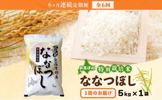 定期便 6ヵ月 北海道 特別栽培 令和6年産 ななつぼし 5kg 精米 米 白米 お米 新米 ごはん ご飯 ライス 道産米 ブランド米 新しのつ米 ふっくら 食味ランキング  産地直送 カワサキ森田屋 お取り寄せ  送料無料