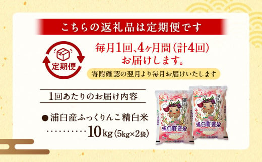 【4回定期便】浦臼産ふっくりんこ 精白米 10kg（5kg×2袋）