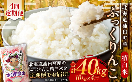 【4回定期便】浦臼産ふっくりんこ 精白米 10kg（5kg×2袋）