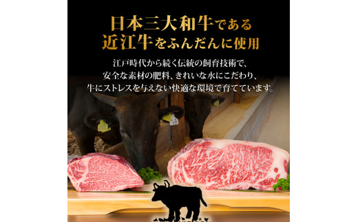 【9月発送】 近江牛 ハンバーグ 75g×5個 375g 冷凍 ギフト 肉 お取り寄せ 黒毛和牛 贈答用 ごはんのお供 三大和牛 近江小判 惣菜 ブランド おかず 贈り物 自宅用 滋賀県 竜王町 岡喜 ふるさと納税 神戸牛 松阪牛 に並ぶ 日本三大和牛