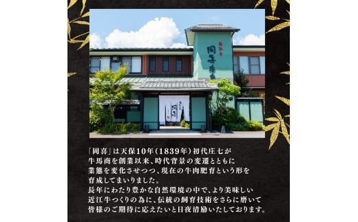 【9月発送】 近江牛 ハンバーグ 75g×5個 375g 冷凍 ギフト 肉 お取り寄せ 黒毛和牛 贈答用 ごはんのお供 三大和牛 近江小判 惣菜 ブランド おかず 贈り物 自宅用 滋賀県 竜王町 岡喜 ふるさと納税 神戸牛 松阪牛 に並ぶ 日本三大和牛