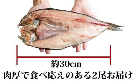 知床羅臼産 特大開きほっけ(2枚) 生産者 支援 応援