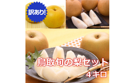 ９２８．【訳あり】鳥取県産旬の梨セット 4kg ≪果物 フルーツ くだもの≫
※2024年8月下旬頃～12月下旬頃に順次発送予定