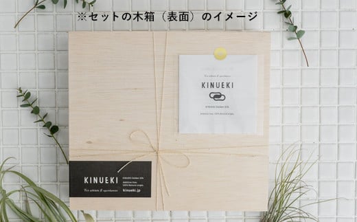 KINUEKI ３点セット木箱入り(１) シャンプー ボディソープ ハンドソープ セット 富岡シルク TOMIOKA SILK ぐんま黄金 絹 シルク F20E-060