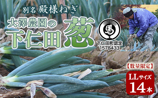 別名“殿様ねぎ” 大澤農園の下仁田葱（LL 14本） とろける 甘い ねぎ ネギ 王様ねぎ 殿様ねぎ 特産 栄養たっぷり ブランド 上州ねぎ すきやき F21K-021