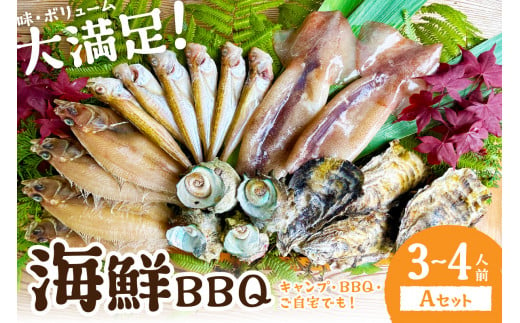 【先行予約】大満足！京丹後・海鮮BBQ　Aセット　5種20品（3～4人前）（2025年5月上旬～発送）　魚介類 さざえ 蠑螺 カキ かき いか バーベキュー ばーべきゅー きゃんぷ アウトドア あうとどあ 個包装 冷凍 送料無料　YK00143