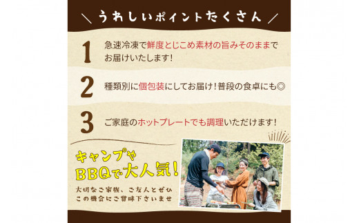 【先行予約】大満足！京丹後・海鮮BBQ　Aセット　5種20品（3～4人前）（2025年5月上旬～発送）　魚介類 さざえ 蠑螺 カキ かき いか バーベキュー ばーべきゅー きゃんぷ アウトドア あうとどあ 個包装 冷凍 送料無料　YK00143