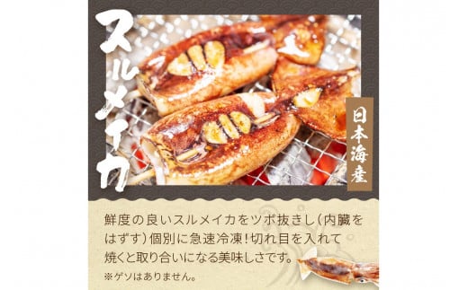 【先行予約】大満足！京丹後・海鮮BBQ　Aセット　5種20品（3～4人前）（2025年5月上旬～発送）　魚介類 さざえ 蠑螺 カキ かき いか バーベキュー ばーべきゅー きゃんぷ アウトドア あうとどあ 個包装 冷凍 送料無料　YK00143