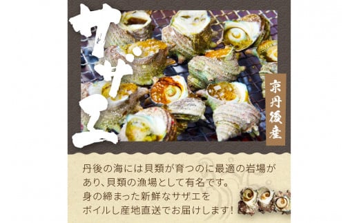 【先行予約】大満足！京丹後・海鮮BBQ　Aセット　5種20品（3～4人前）（2025年5月上旬～発送）　魚介類 さざえ 蠑螺 カキ かき いか バーベキュー ばーべきゅー きゃんぷ アウトドア あうとどあ 個包装 冷凍 送料無料　YK00143