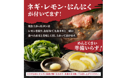 ≪定期便全6回≫【大盛九条ネギ】塩ダレ牛タン500g 薄切り 牛タン 九条ねぎ 味付き 焼くだけ 簡単 焼肉 牛肉 特製塩だれ 牛たん 小分け 定期便 塩だれ タン 人気 七輪焼肉 肉屋 BBQ アウトドア 牛タン塩 京都府 木津川市【093-T02】