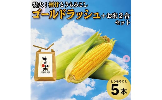 とうもろこし 米 セット ゴールドラッシュ 5本 約 2kg コメ 2合 お米 アキサカリ ごはん 先行予約 えがおセット トウモロコシ コーン スイートコーン 甘い とうもろこしご飯 レシピ付き 期間限定 夏 旬 野菜 鍋 炒め物 煮物 スープ 弁当 惣菜 おかず 健康 新鮮 国産 送料無料 吉野川市 徳島県