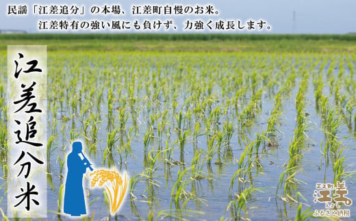 【令和6年産新米ななつぼし】低温保管新鮮米『箱入り娘　ななつぼし』【10kg（5kg×2袋）】10月～4月の間で配送月指定可　契約農家栽培　江差追分米　北海道江差町産　甘みと粘りの調和　北海道のおこめ　精米