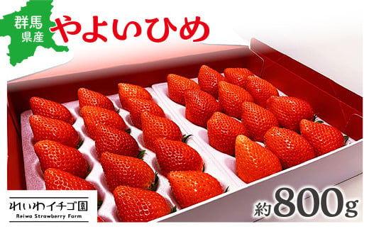 やよいひめ いちご 800g｜ 朝採れ やよいひめ たっぷり 贈答用 新鮮 特大 完熟 いちご 旬 苺 ストロベリー 高級 産地直送 果汁 甘い あまい 人気 高評価 減農薬 有機肥料 生産 生産量 産地 王国 高糖度 エコファーマー ごほうび プレゼント 群馬県 前橋市 R3-13