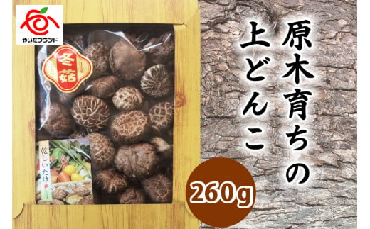 肉厚・厳選！原木育ちの上どんこ260g｜栃木県 矢板市 しいたけ 椎茸 産地直送  [0334]