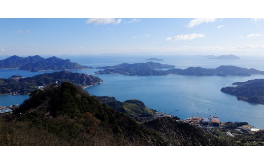 上島町岩城島名産　芋菓子袋12袋【1149889】