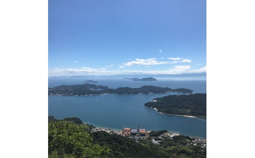 上島町岩城島名産　芋菓子袋12袋【1149889】