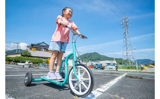  おもしろ自転車 かえるサイクル 【自転車 サイクリング  ジャンプ  伊豆 静岡】70-007