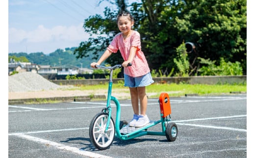  おもしろ自転車 かえるサイクル 【自転車 サイクリング  ジャンプ  伊豆 静岡】70-007