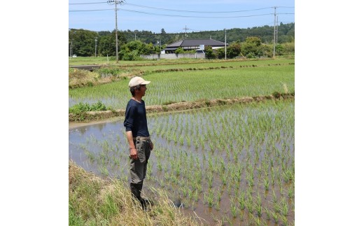 2023年産 米問屋がんたら 楢葉町産 コシヒカリ 6kg(3kg×2袋)　001c011