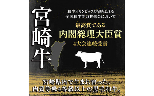 宮崎牛 ロース 厚切り ステーキ(300g)A4 A5 牛 お肉 黒毛和牛 おにく 焼肉 BBQ バーベキュー 惣菜 メイン 牛肉 精肉 ブランド和牛  焼肉 お取り寄せ【SJ008】【日本ハムマーケティング株式会社】