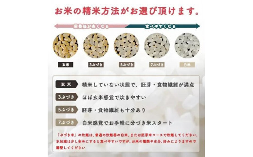 【定期便6回】【選べる精米方法：七分つき】秋田県産 あきたこまち10kg(5kg×2袋)×6か月