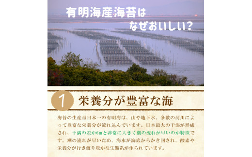 訳あり 海苔 一番摘み 90枚 | 魚貝類 海産物 のり 全型 訳アリ 熊本県 玉名市