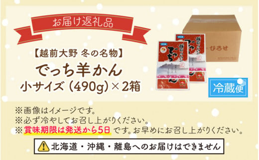 【先行予約】福井県大野市 冬の名物 でっち羊かん (お菓子のひろせ 水ようかん) 小サイズ (490g)×2箱【11月～順次発送】